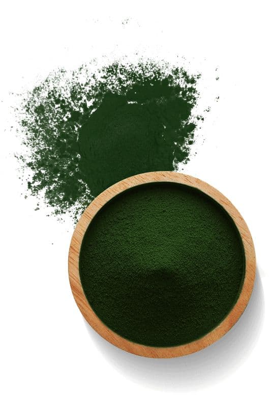 Spirulina Powder