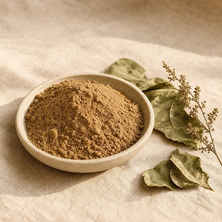 Giloy Powder