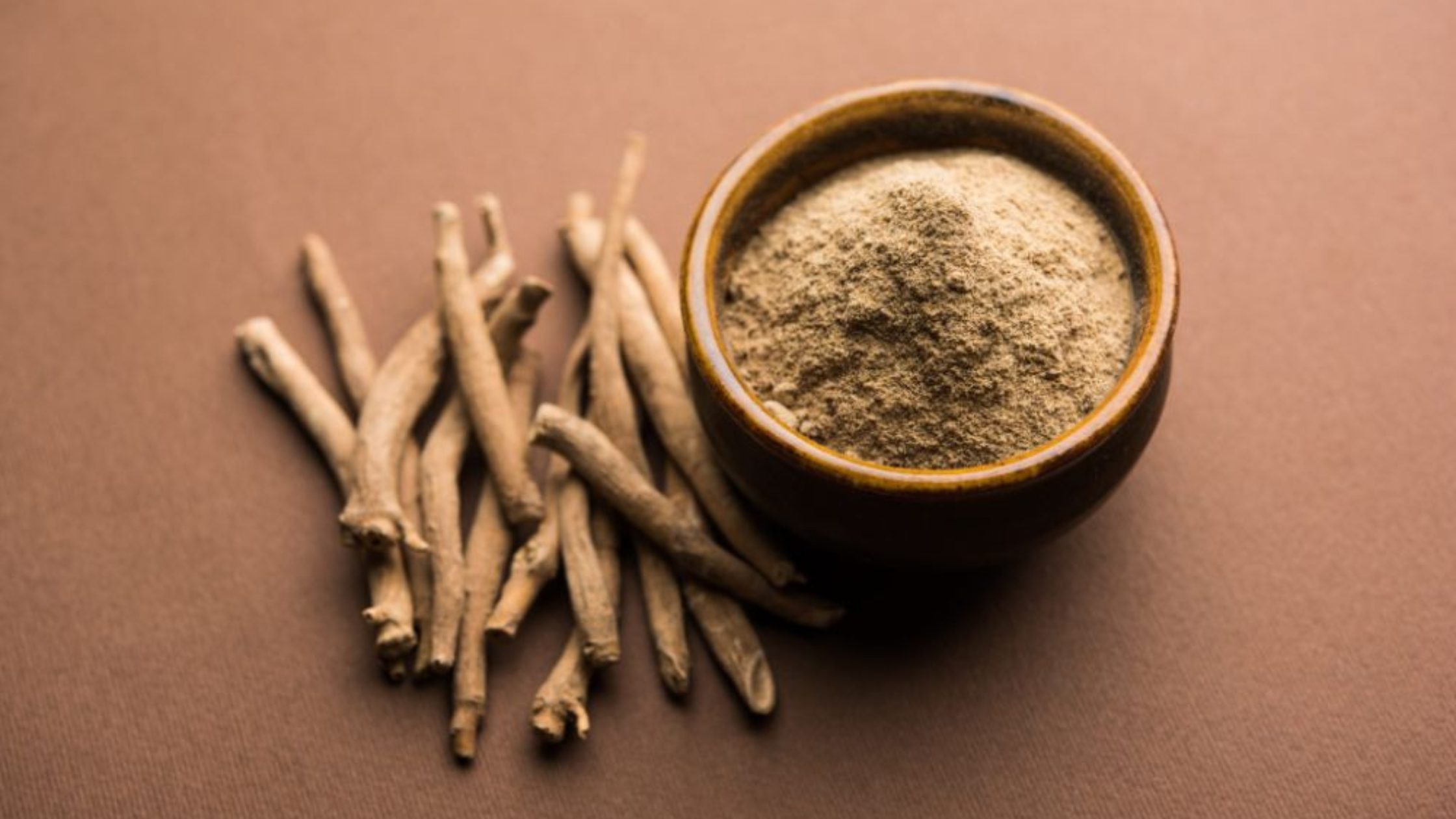 Shatavari Powder Manufacturer in India for Women’s Wellness Brands