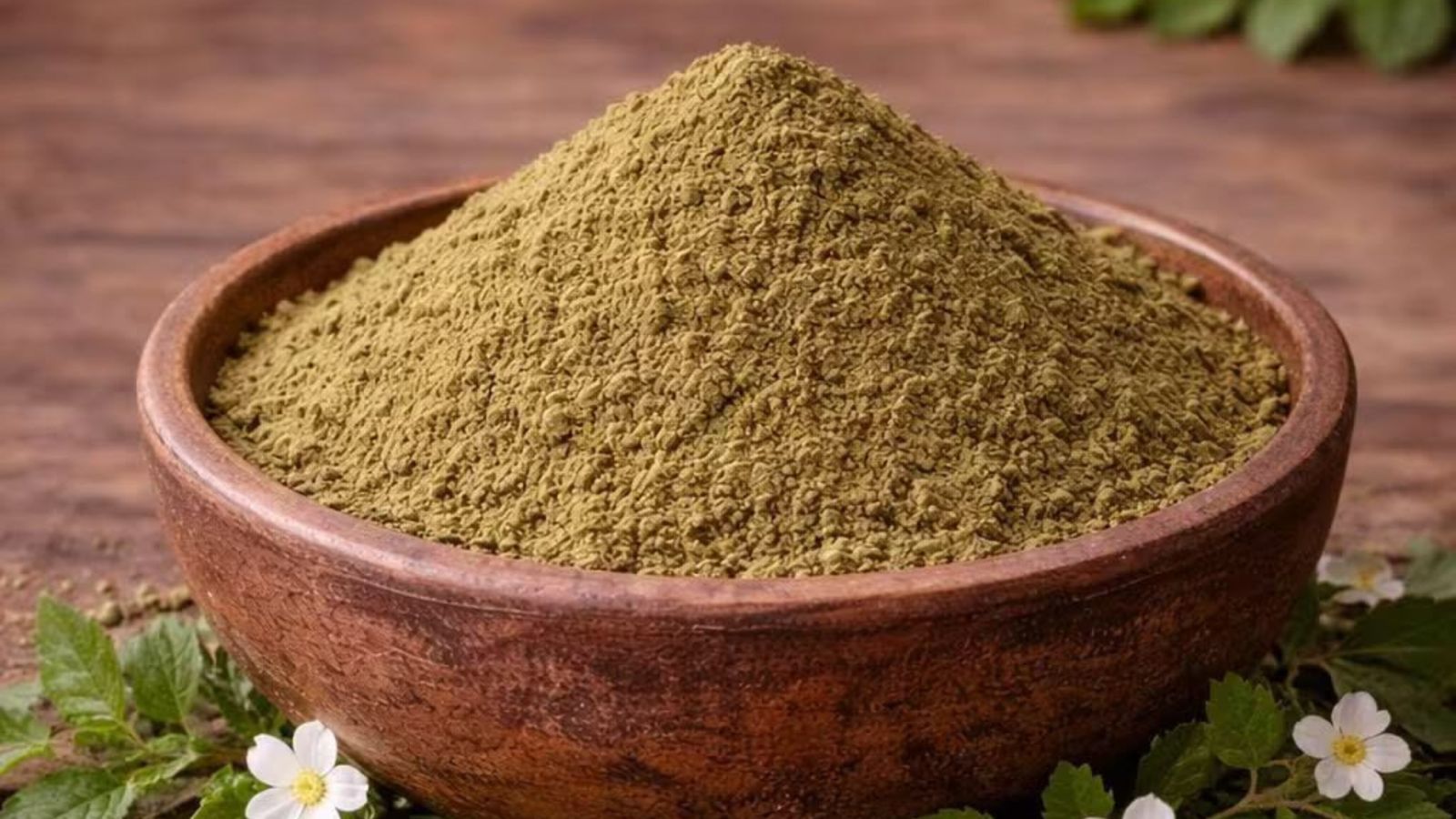 Brahmi Powder Manufacturer in India: Applications for Cognitive Wellness